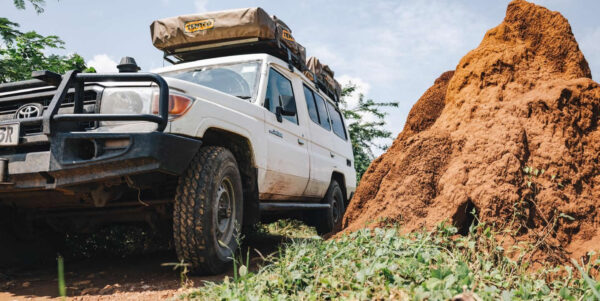 Family Self drive Jeeps